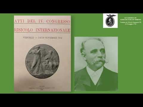 Riso amaro: l'immaginario a fronte della realtà vissuta da molte generazione di mondine