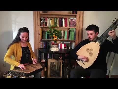 sonata per salterio, anonimo, archivio Csa Museo Spada Antichi Strumenti Musicali, salterista Franziska Fleischanderl